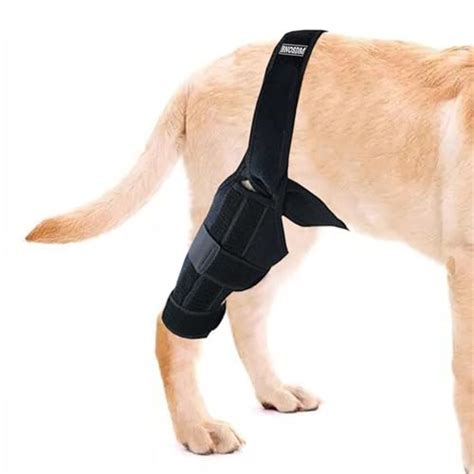 I Tested the Top 5 Best Braces for My Dog's ACL Tear - Here's What ...