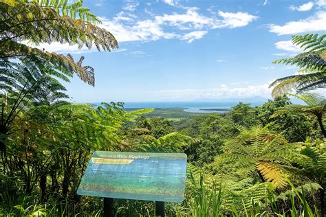 Guide To Visiting Australia S Daintree Rainforest Incl Cape Tribulation