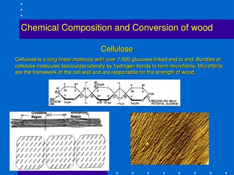 Chemical Makeup Of Wood Mugeek Vidalondon