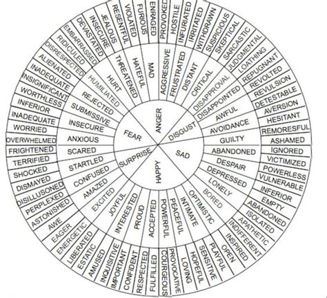 The Emotion Definer Wheel