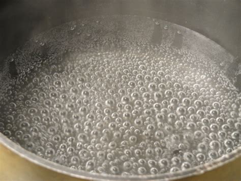 boiled water recipe foodcom
