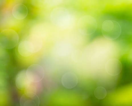 Green Abstract Background Blur Stock Illustration - Download Image Now ...