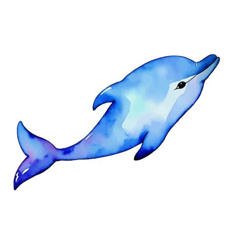 Premium Vector Watercolor Cute Dolphin Vector