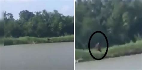 Fisherman terrified after spotting mysterious 'half man, half dog' creature