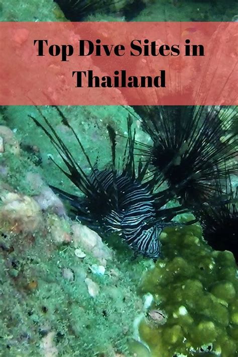 Guide To Diving In Thailand Dive Sites And Spots Scuba Diving