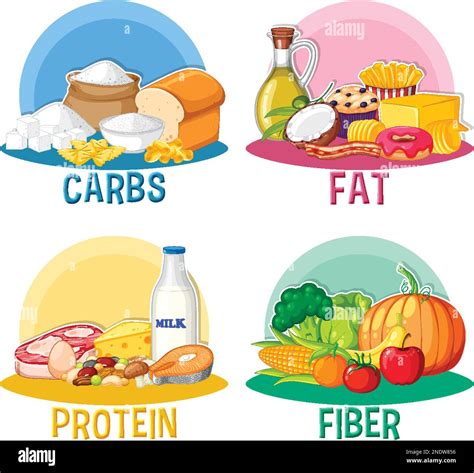 Main Food Groups Macronutrients Vector Illustration Stock Vector Image