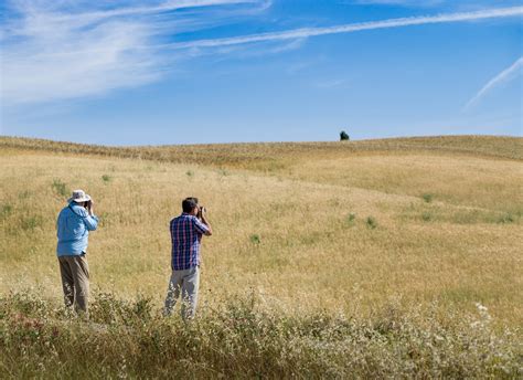 Lou And Paul In A Classic Val DOrcia Landscape Italy Photography