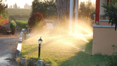 How to Set Your Sprinkler Timer for Efficient Watering: A Comprehensive ...