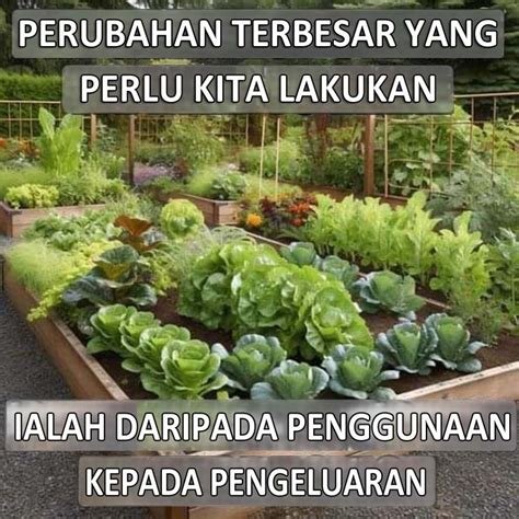 Tanam Sendiri Makanan Anda Persatuan Pengguna Penang