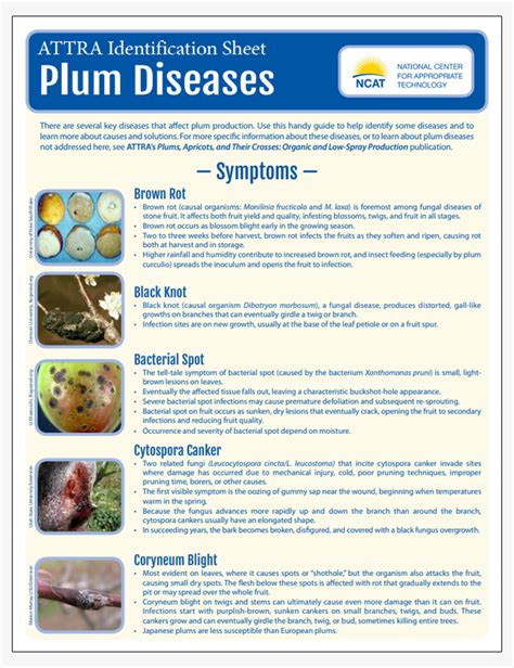 Plum Diseases Identification Sheet | ATTRA | Sustainable Agriculture Project