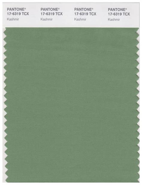 Pantone Smart 17 6319 Tcx Color Swatch Card Kashmir Magazine Cafe Store Nyc Usa