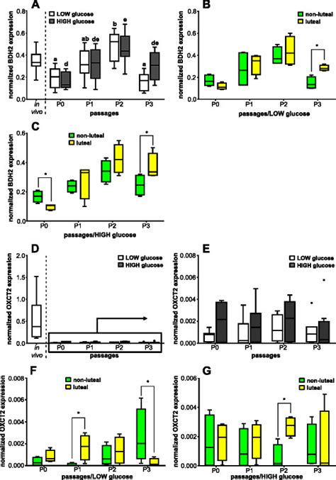 Effect Of Passage Number Or Estrous Cycle Stage On Enzymes Of Cellular