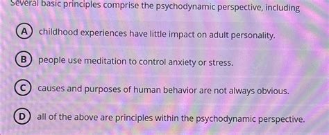 Solved Several Basic Principles Comprise The Psychodynamic