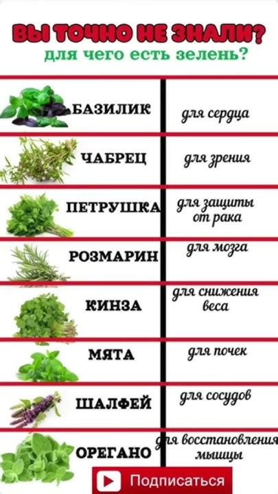 А ВЫ ЗНАЛИ? ДЛЯ ЧЕГО ЕСТЬ ЗЕЛЕНЬ #здоровье #пп #top #советы - YouTube