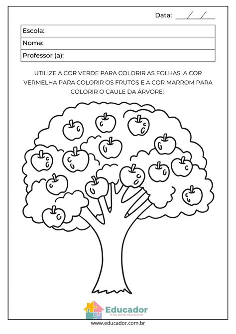 Atividades de raciocínio lógico para estimular as crianças Educador