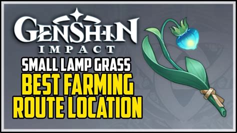 How To Get Small Lamp Grass - Genshin Impact - Best Farming Route - YouTube