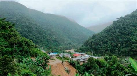 SENAMHI Pronostica lluvias en la selva puneña a partir del 13 y 14 de