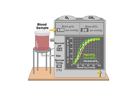 The Oxygen Dissociation Curve