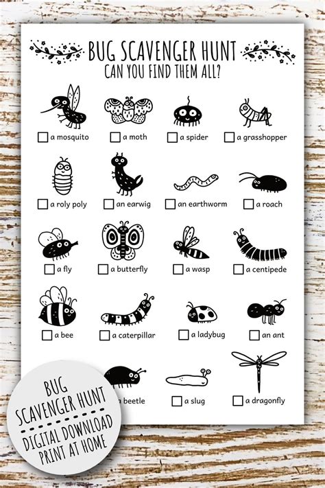 Bug Scavenger Hunt For Kids Minibeast Treasure Hunt Bugs Etsy