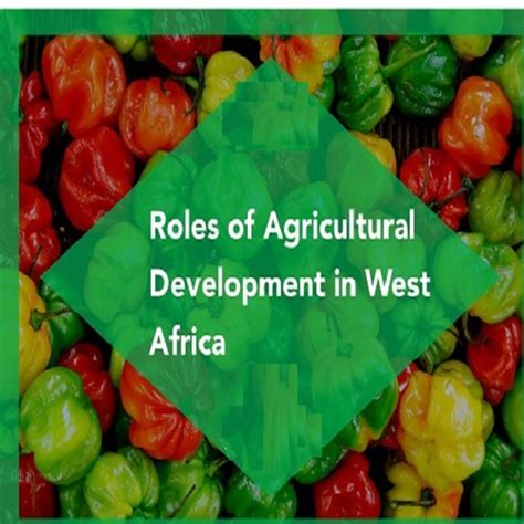 Top Role Of Agricultural Extension In West Africa S Agricultural