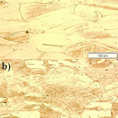 Austenitic microstructure of the thermomechanically treated (a) and... | Download Scientific Diagram