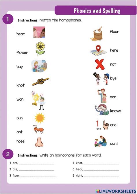 Homophones Online Exercise For Grade 4 Live Worksheets Worksheets