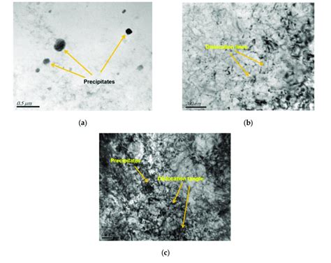 tem images   specimen   temperatures    lp