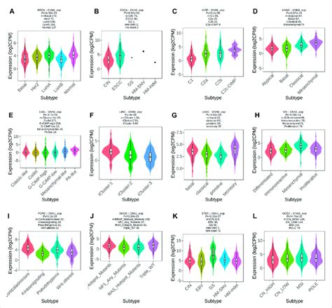 Relationship Between Cnn Expression And Molecular Subtypes A Brca