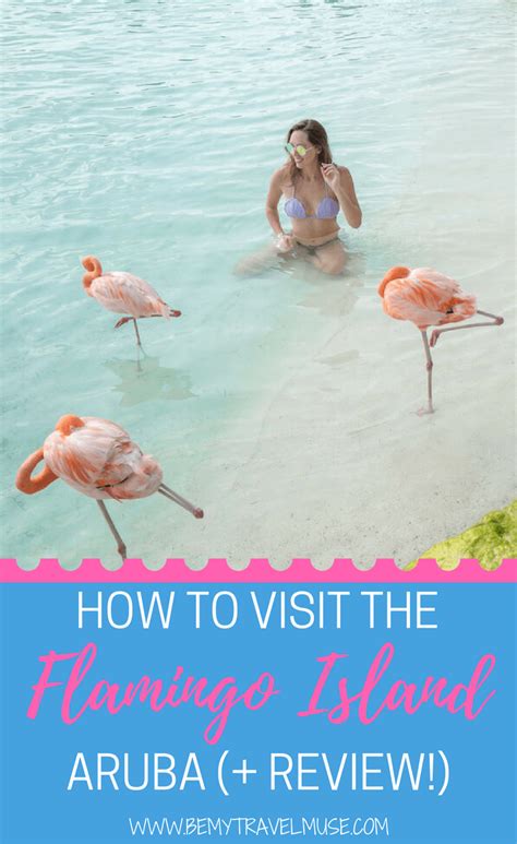 Flamingo Island, Aruba: How to Visit + Is It Worth It?