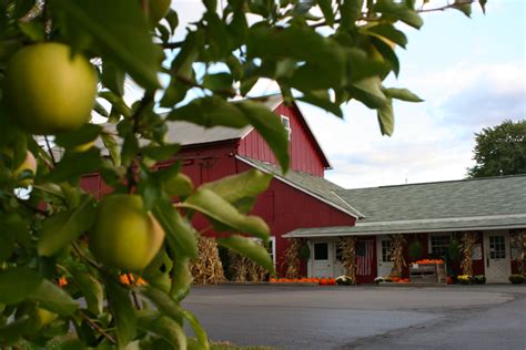 The Best Apple Orchards To Visit Near Cleveland This Fall