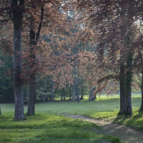 Visite Comment E Entre Jardins Et Vall Es D Couvrez Le Domaine Au