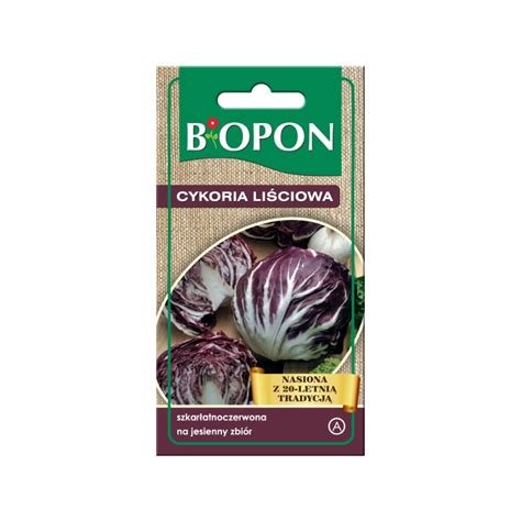 Cykoria Li Ciowa Radicchio Palla Rosa G Bopon