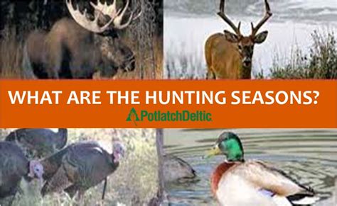 What hunting season is it? Find out state by state! – PotlatchDeltic ...