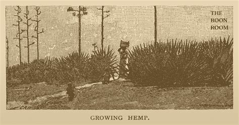 The History of Hemp | A Timeline of Hemp in the United States