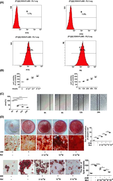 Melatonin Promotes The Restoration Of Bone Defects Via Enhancement Of