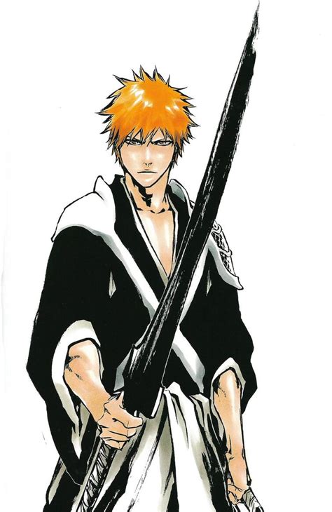 True Bankai The Ichigo Kurosaki Concept Spoilers Fandom