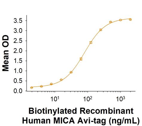 Recombinant Cynomolgus Rhesus Nkg D Fc Chimera Protein Cf Nk