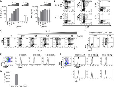 Human Dendritic Cells Induce The Differentiation Of Interleukin 21