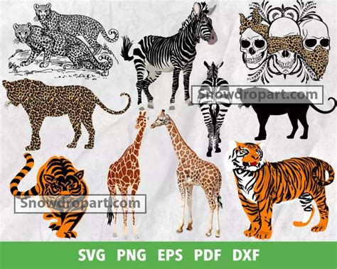 500 Animal Print Svg Bundle, Wild Animal Svg, Animal Print Svg