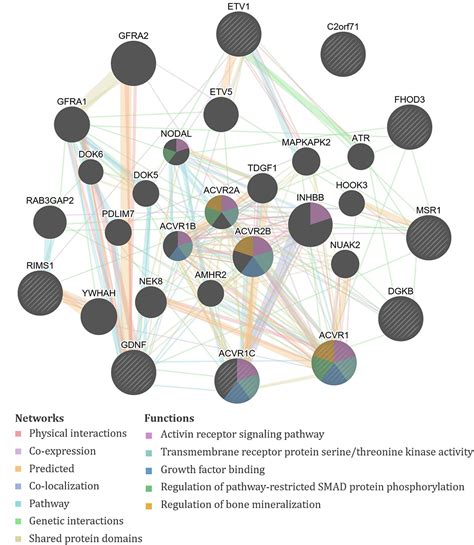 Frontiers Influence Of Genetic Variance On Biomarker Levels After