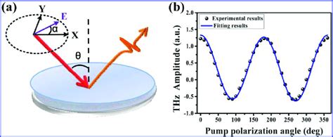 Thz Radiation Dependence On Incident Polarization Angle A Diagram Of Download Scientific