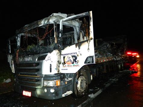 Caminhão que transportava cavalos pega fogo e animal morre em Flórida