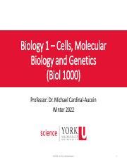 Bacteria And Archaea Biol W Pdf Biology Cells Molecular