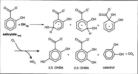 Oxidation Mechanism Of Salicylic Acid Download Scientific Diagram