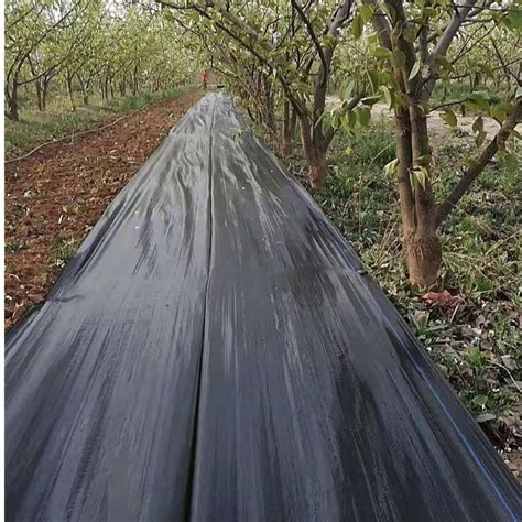 Farm Greenhouse Weed Control Fabric Folded Landscape Ground Cover Membrane Weed Barrier China