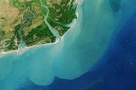 zambezi river delta
