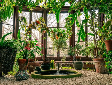 mark twain house and museum 6