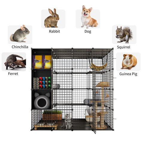 Archie & Oscar™ Boivin Portable Cat Cage & Reviews | Wayfair