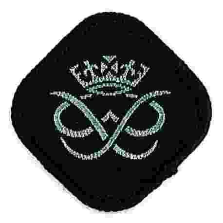 Duke of Edinburgh Award Cloth Badge - Silver - The Scout and Guide Shop