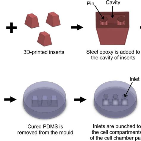 Fabrication steps for the microfluidics cell culture device for ... 